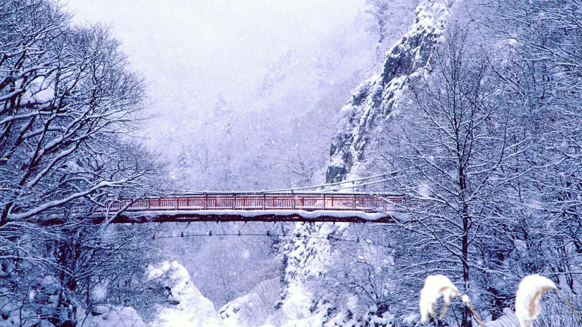 Appartamento Luxury Sapporo